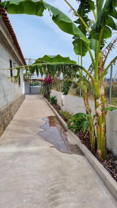 Villa Maruna Grao de Castellon Exterior foto